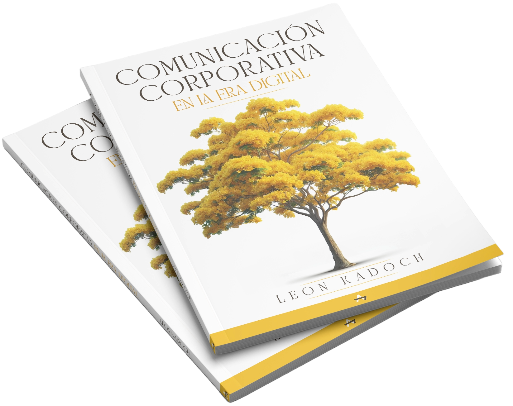 Libro Comunicación Corporativa en la Era Digital - Leon Kadoch -